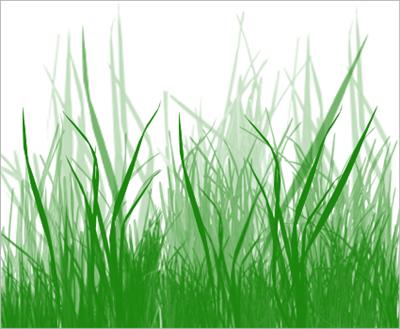 Grass