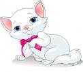 Kitty