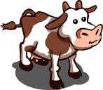 Cow