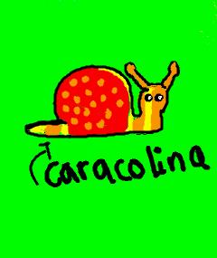caracolina