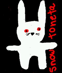 snow toneta