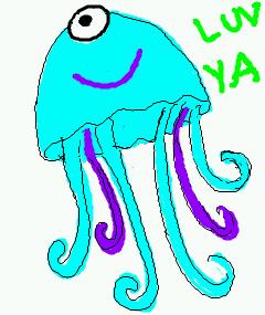 jellyfish