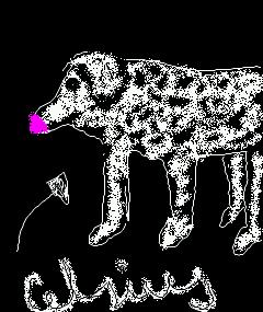 cotton dog