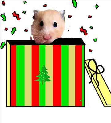 Cute big hamster in a box