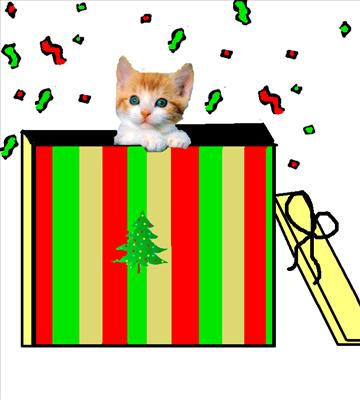 Cute kitten in a box