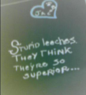 stupidleeches.