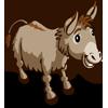 Donkey
