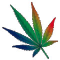 Rainbow Leaf