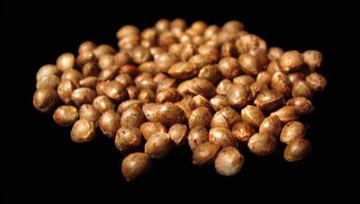 Seeds