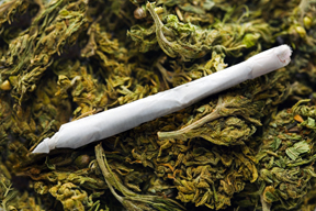 Joint