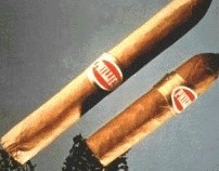 Blunt