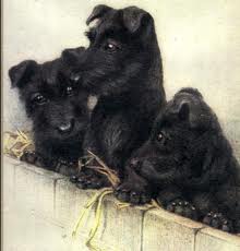 The three mutskateers!