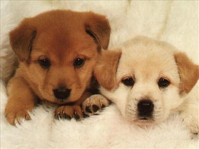 Friends :)