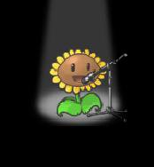 Singing Sunflower