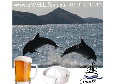 Dolphins