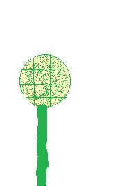 tennis racket