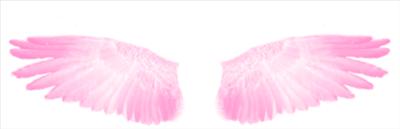 wings