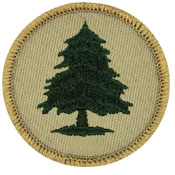 Tree Patrol