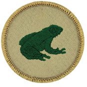 Frog Patrol