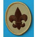 Scout Rank Patch 