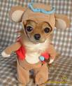 cute puppy =]