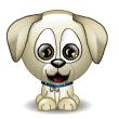 Hund