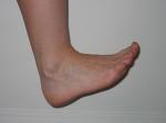 a foot