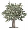 MONEY TREE