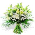 un fiore x la più bella