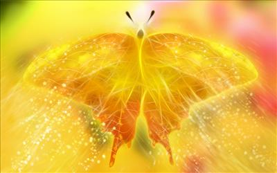 Orange Sparkle Butterfly
