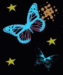 Rainbow Transparent butterflies