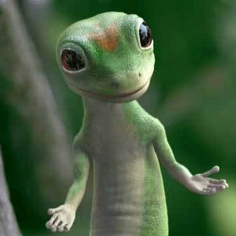 Lizard