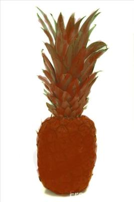 Chocolate Pineapple