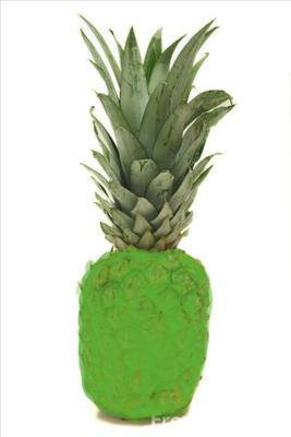 Poisonous Pineapple