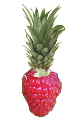 Raspberry Pineapple