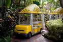 pineapple car!