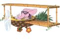 pineapple plane
