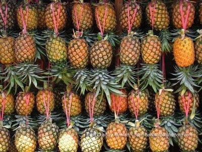 millions of pineapples!