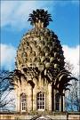 pineapple housee