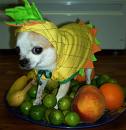 pineapple dog!