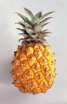 one jucieyy pineapple ;]