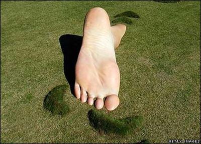 A Big Foot