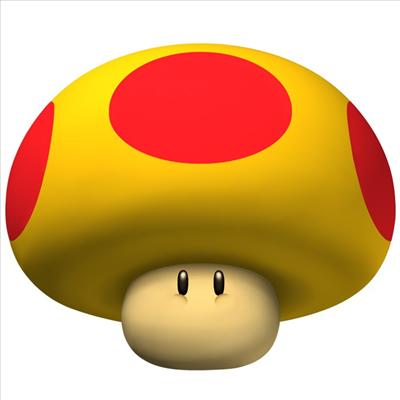Champignon Geant