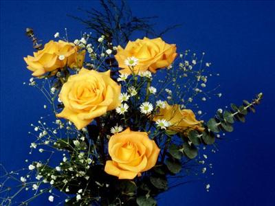Rose 2