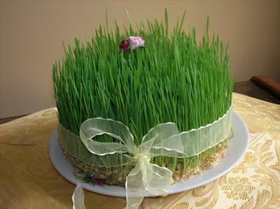 عیدی من به تو یه سبزه ی سبز
