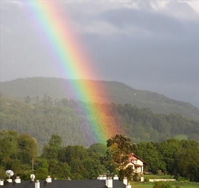 Leprechaun's house