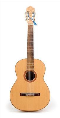 Acoustic Guitar