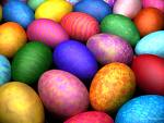 lots of eggs