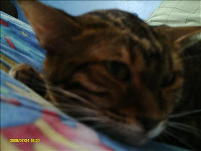 Kizzy