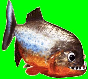 Piranha (Evil)
